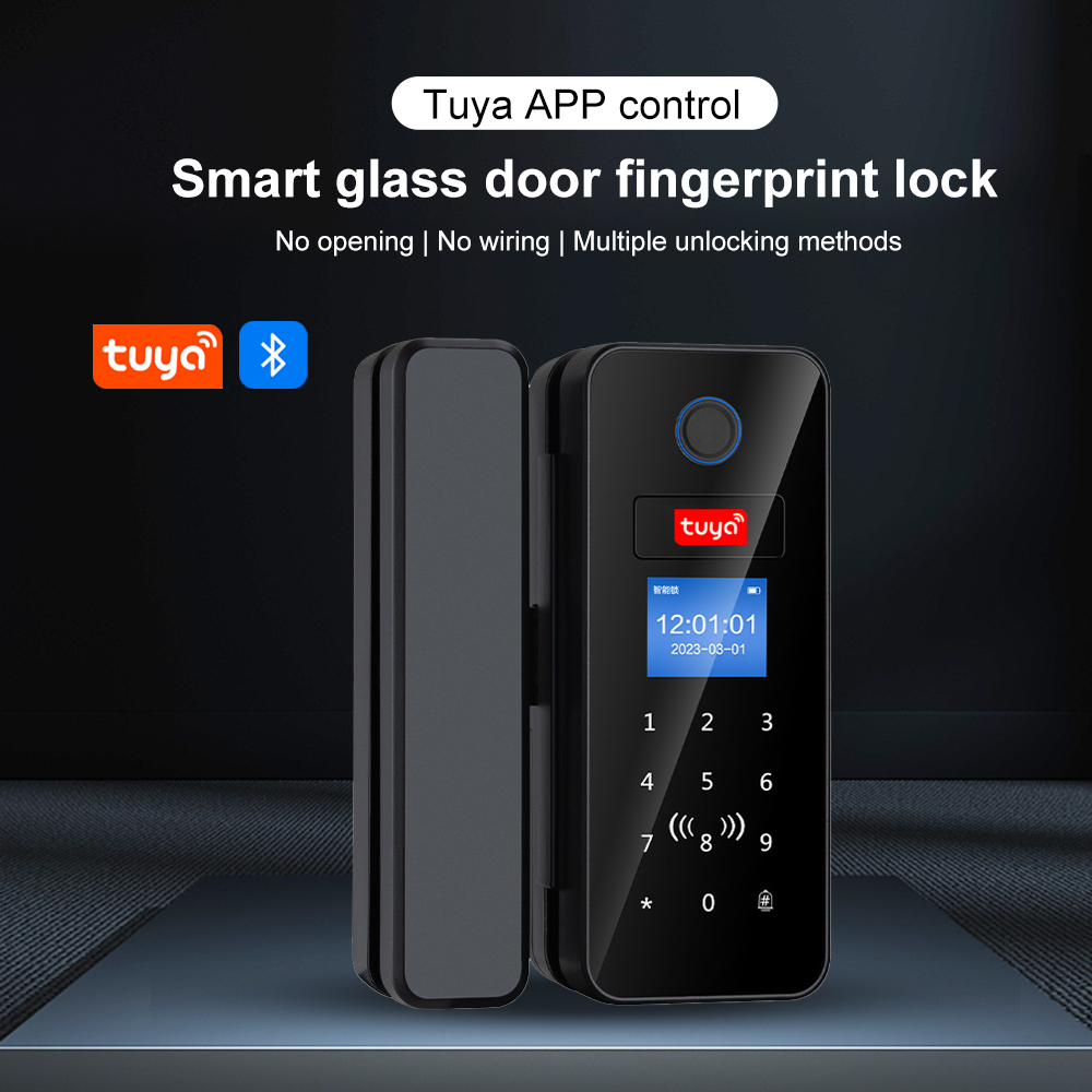 Double Hook Smart Glass Door L – обзор и цена Door Lock Smart Keypad