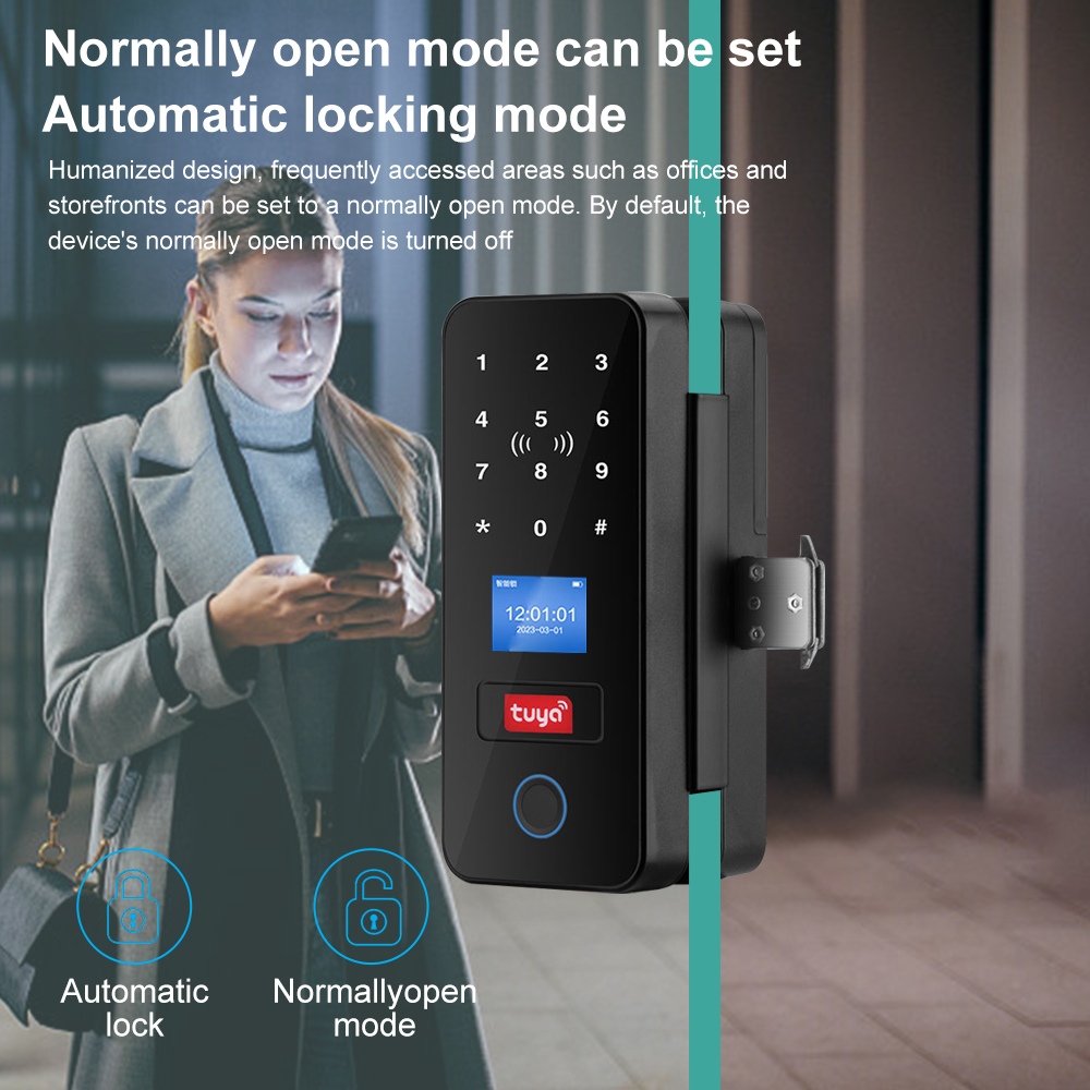 Double Hook Smart Glass Door L – обзор и цена Door Lock Smart Keypad