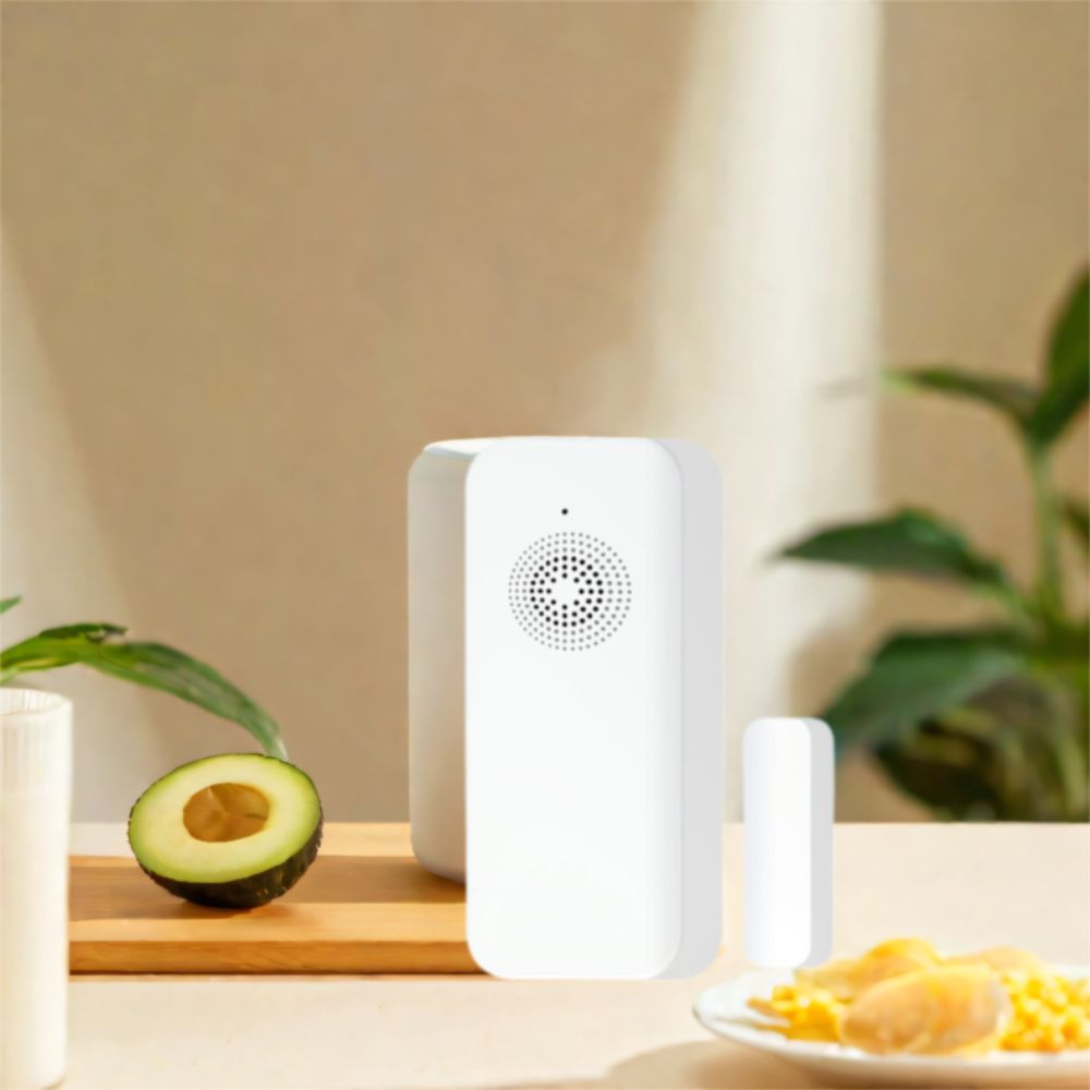 Open Closed Detection Wireless – обзор и цена Home Security System Installation