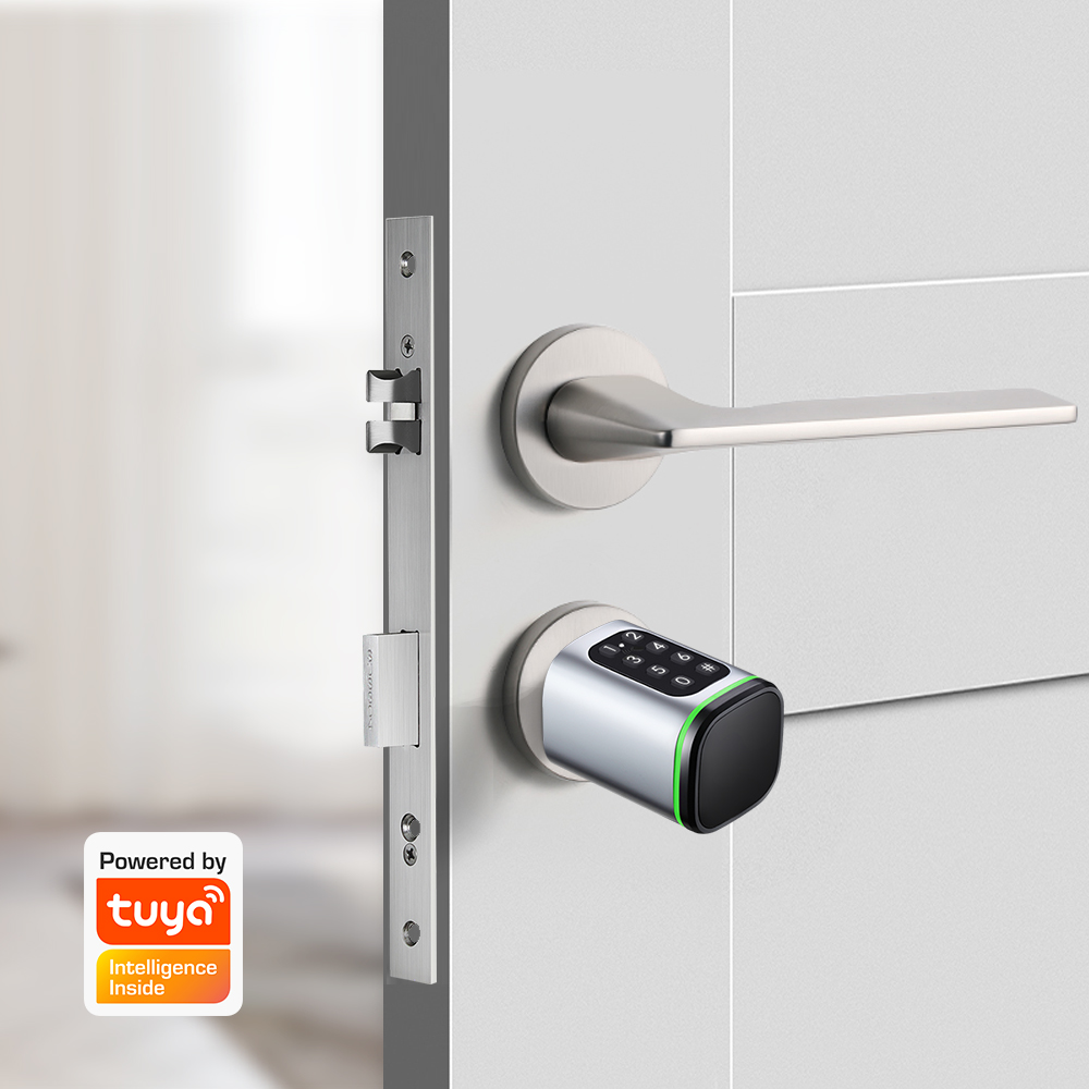 Tuya Smart Digital Door Lock M – обзор и цена Door Lock Smart Keypad